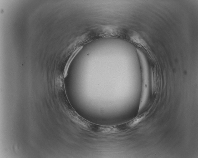 X0000062880621200601201821