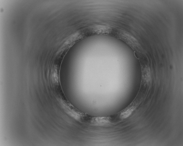 X0000062880622200601201821