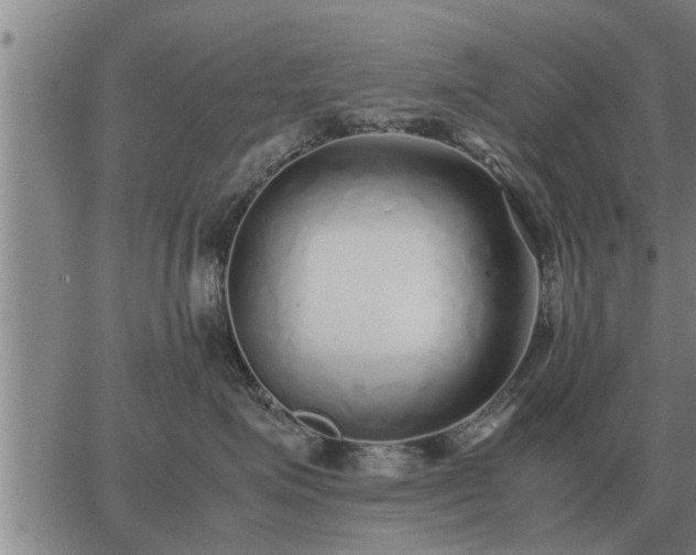 X0000062880623200601201821