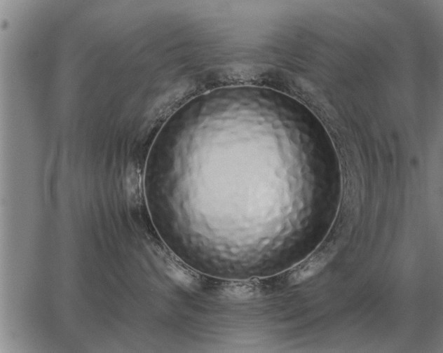 X0000062880624200601201821