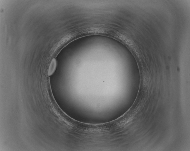 X0000062880625200601201820