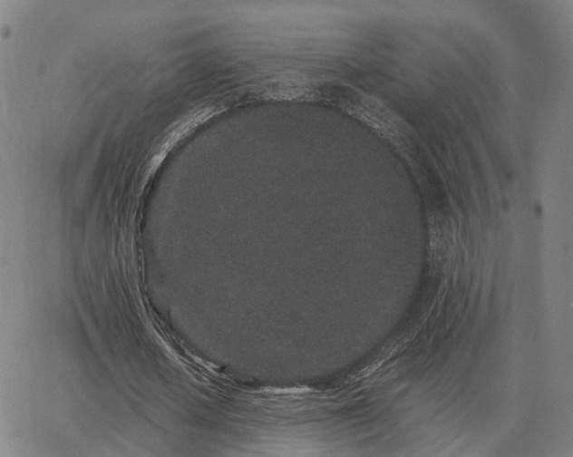 X0000062880626200601201820