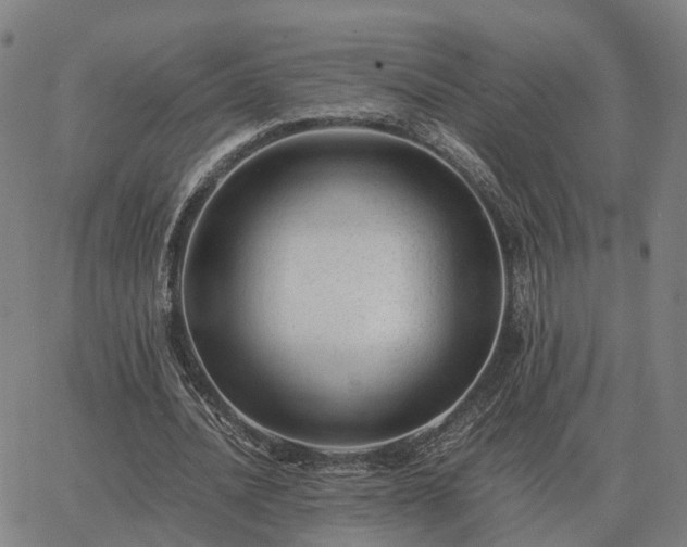 X0000062880628200601201820