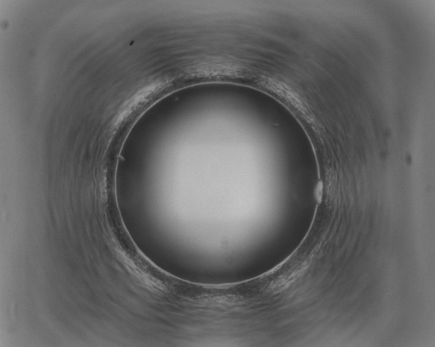 X0000062880629200601201820