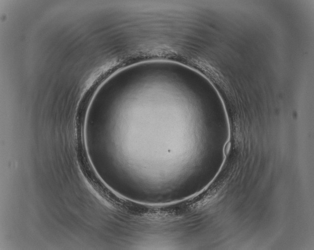 X0000062880630200601201820