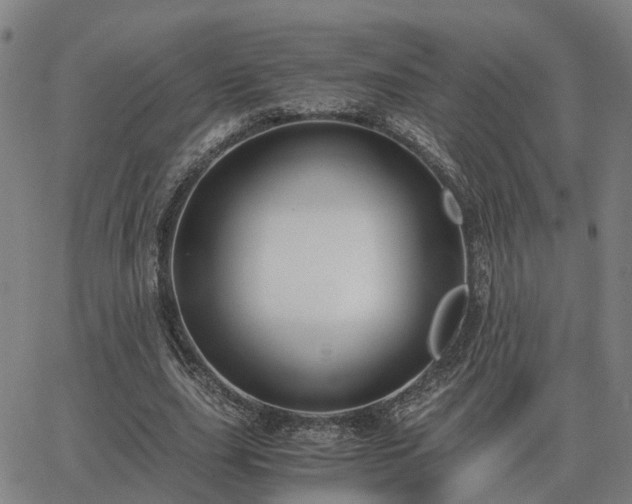 X0000062880631200601201820