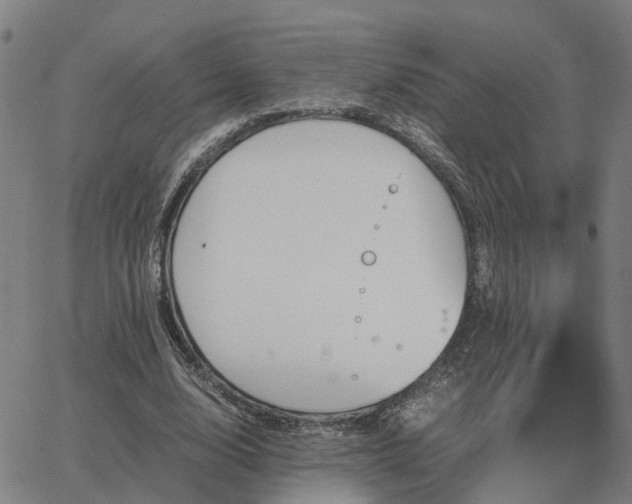 X0000062880632200601201820