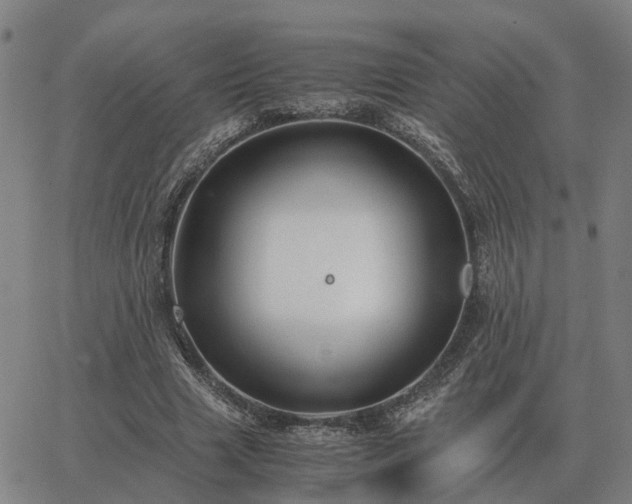 X0000062880633200601201820