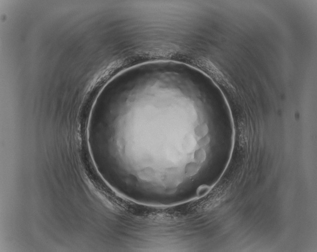 X0000062880634200601201820