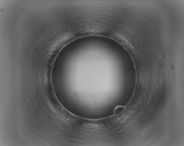 X0000062880635200601201821