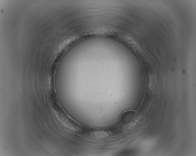 X0000062880636200601201821