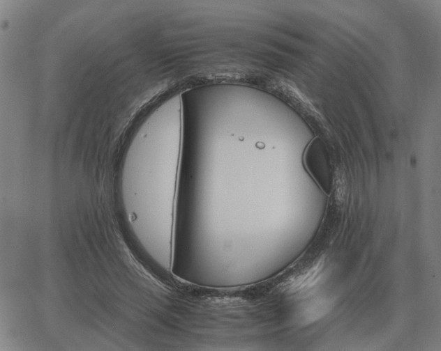 X0000062880637200601201821