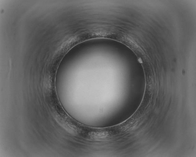 X0000062880639200601201821