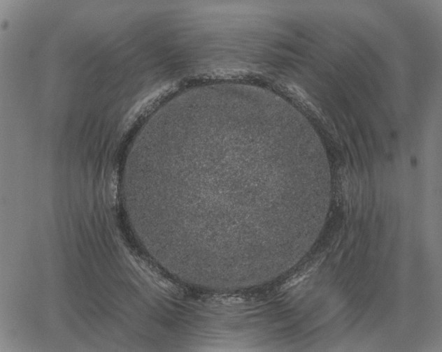 X0000062880640200601201821