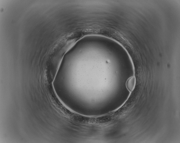 X0000062880641200601201821