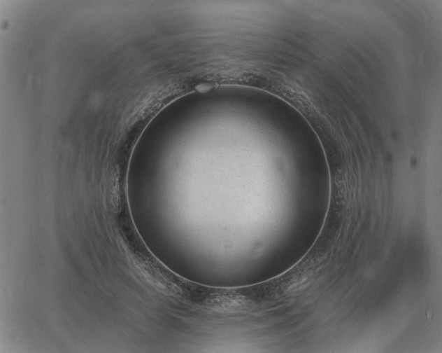 X0000062880642200601201821