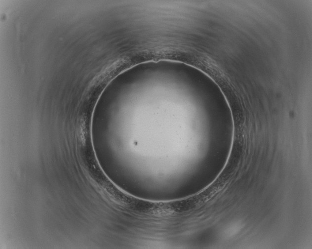 X0000062880644200601201821