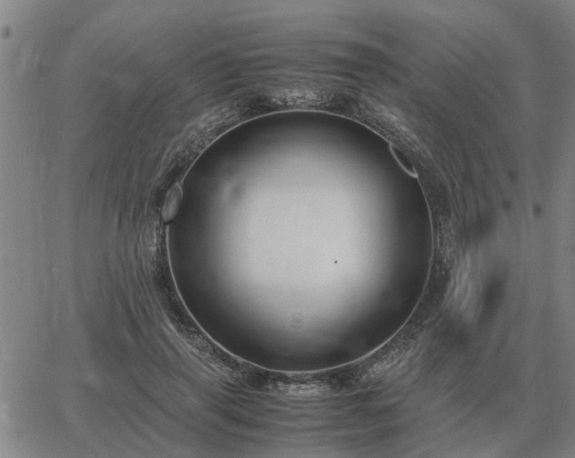 X0000062880645200601201821