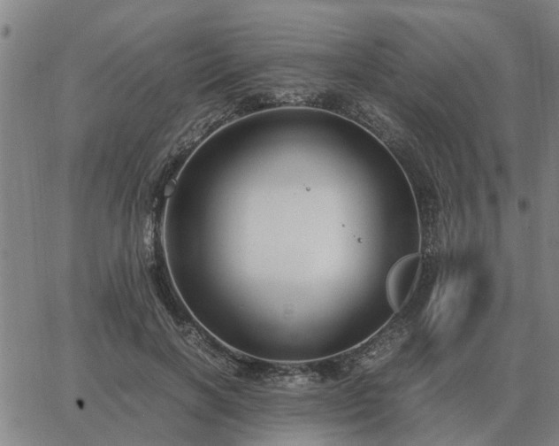 X0000062880646200601201821