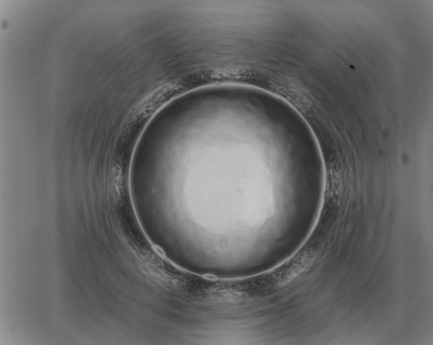 X0000062880648200601201821