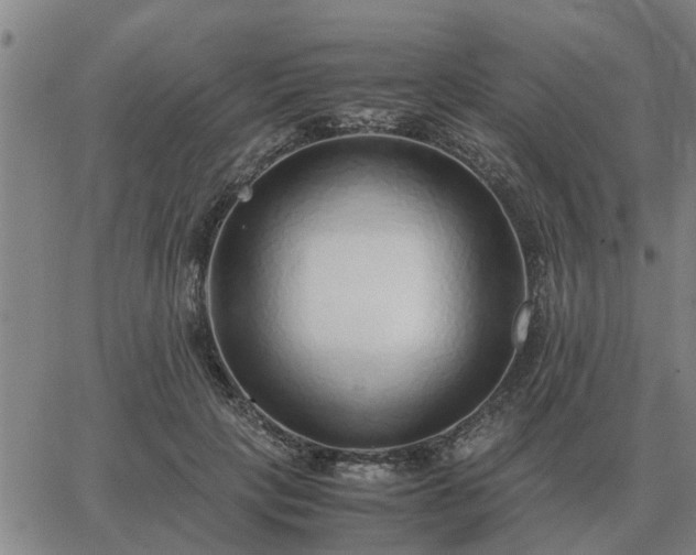 X0000062880649200601201821