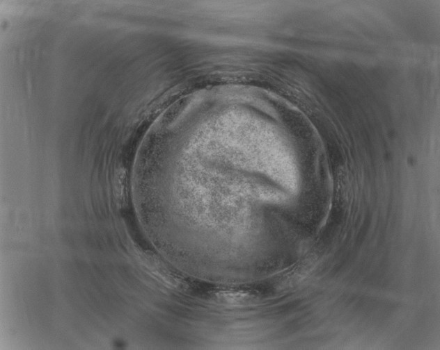 X0000062880650200601201821