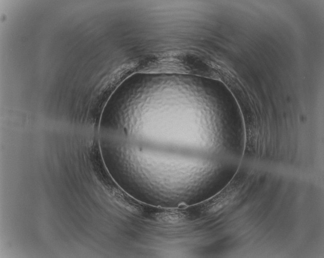 X0000062880652200601201821