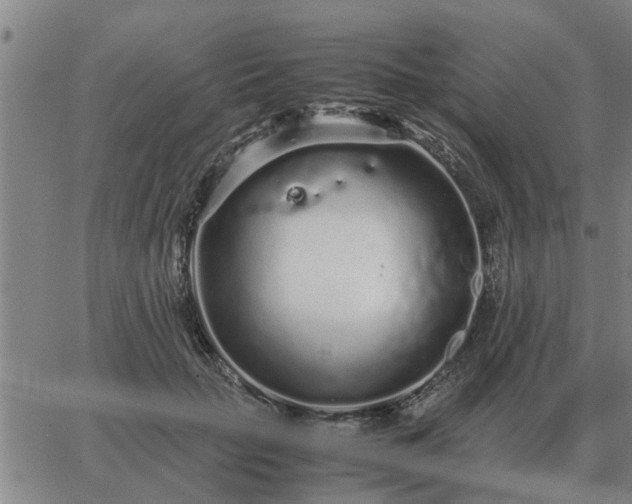 X0000062880653200601201821