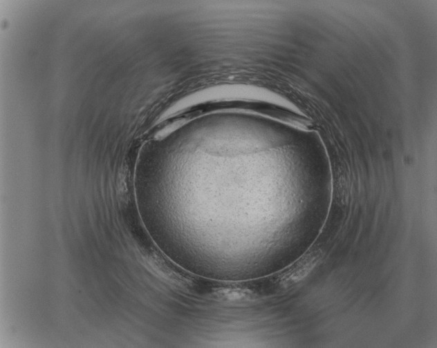 X0000062880654200601201821