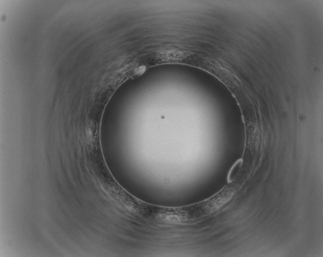 X0000062880655200601201821