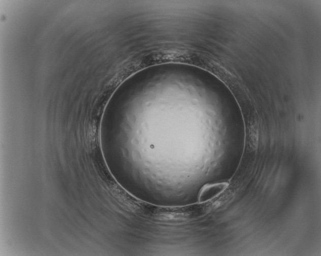 X0000062880657200601201821