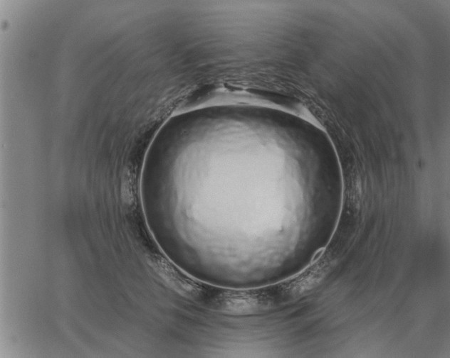 X0000062880658200601201821