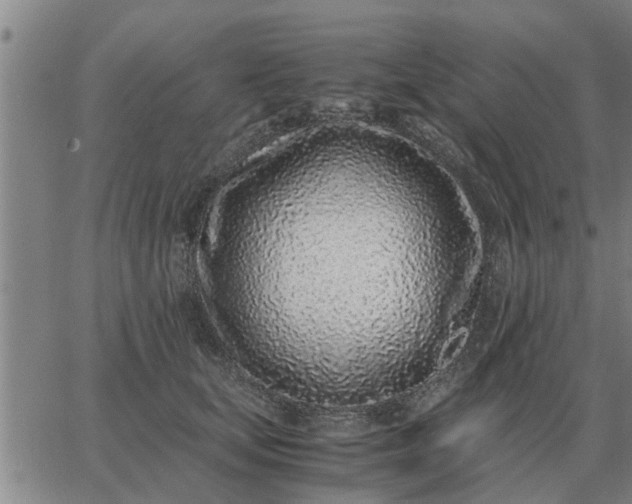 X0000062880659200601201821