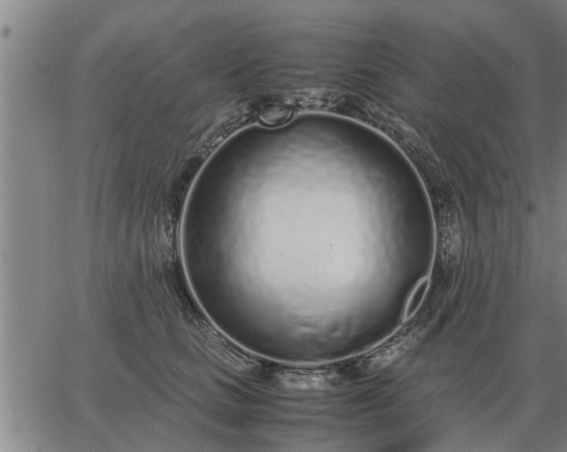 X0000062880661200601201821