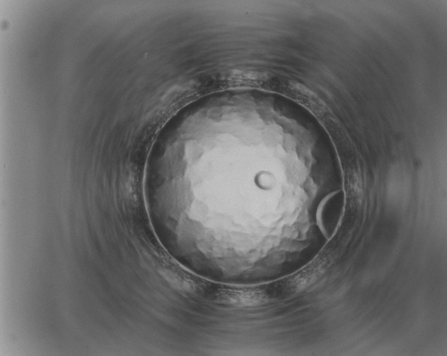 X0000062880663200601201821