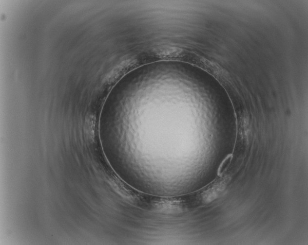 X0000062880664200601201821