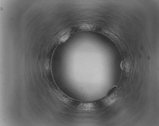 X0000062880665200601201821