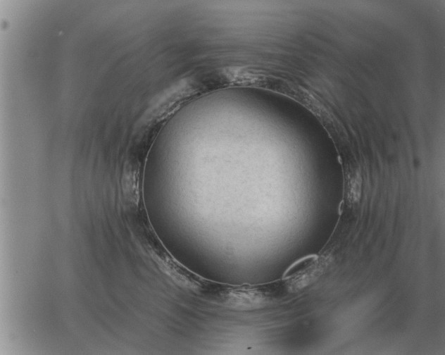 X0000062880666200601201821