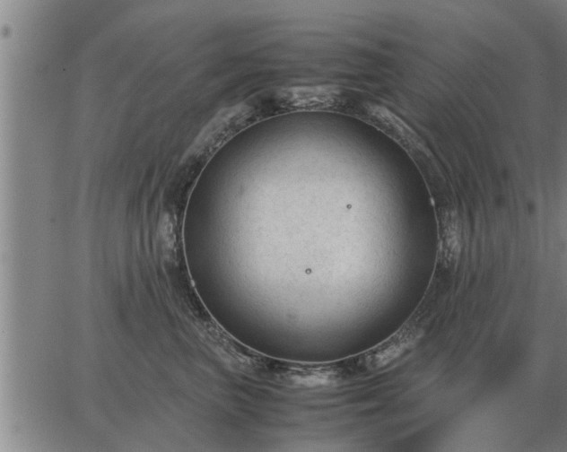 X0000062880667200601201821