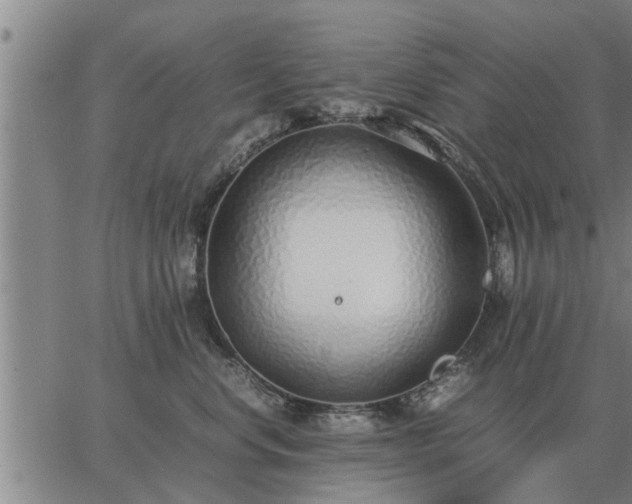 X0000062880668200601201821