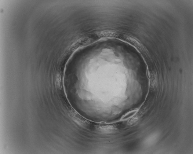 X0000062880669200601201821