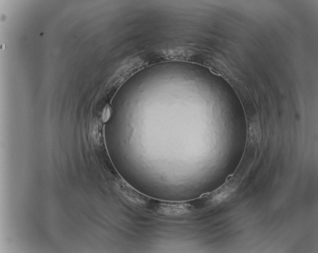 X0000062880671200601201821