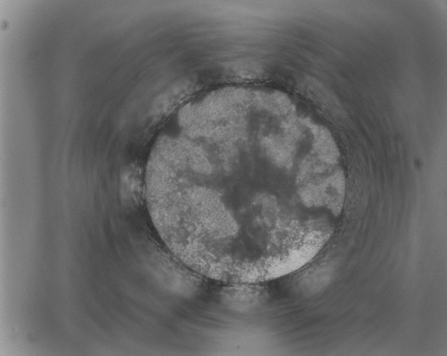 X0000062880672200601201821