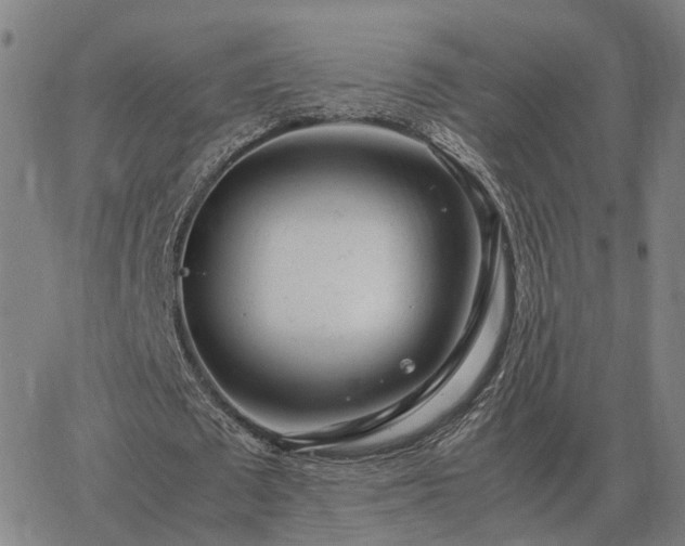 X0000062880673200601201820