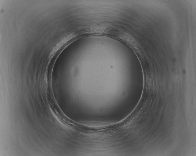 X0000062880674200601201820