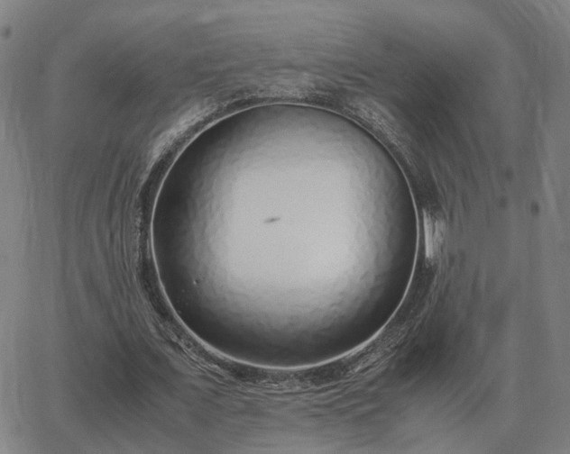 X0000062880675200601201820