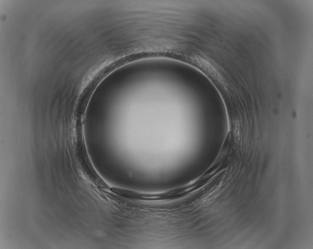 X0000062880676200601201820