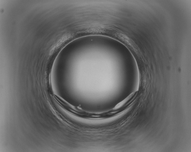 X0000062880677200601201820