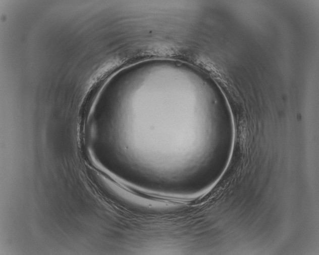 X0000062880679200601201820