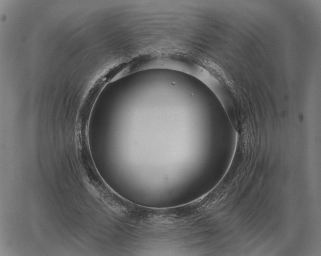 X0000062880680200601201820